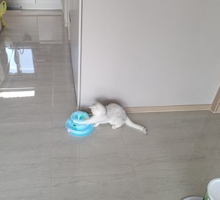 갤러리 이미지