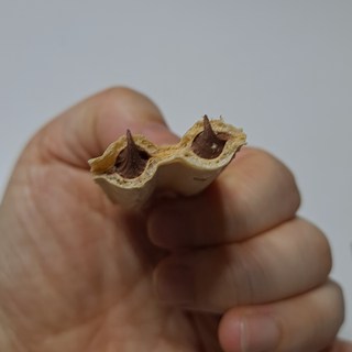 갤러리 이미지
