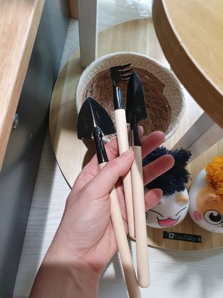 갤러리 이미지