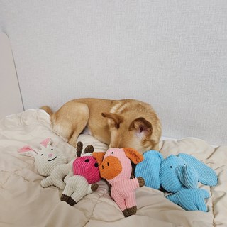 갤러리 이미지