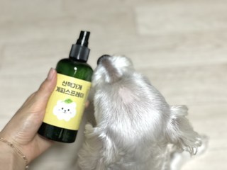 갤러리 이미지