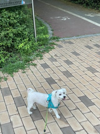 갤러리 이미지