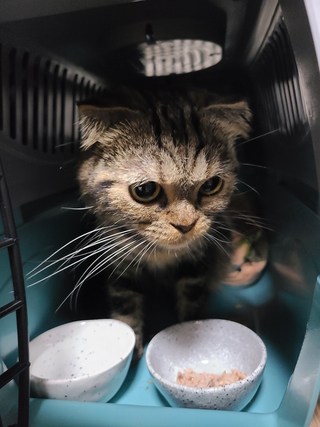갤러리 이미지