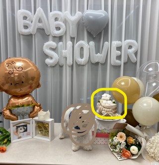 갤러리 이미지