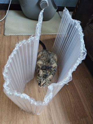 갤러리 이미지