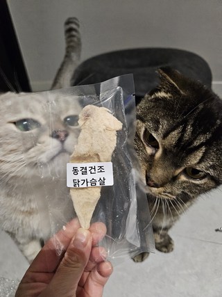 갤러리 이미지