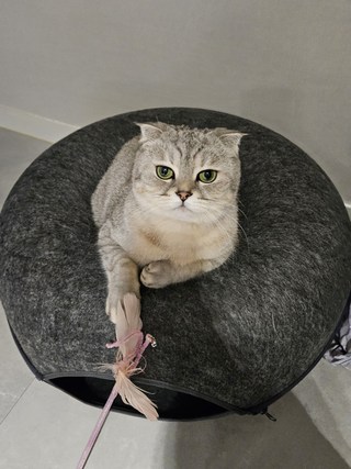 갤러리 이미지