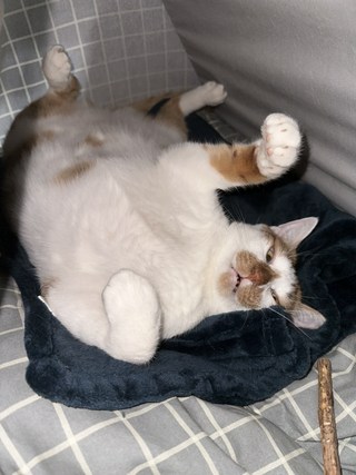 갤러리 이미지