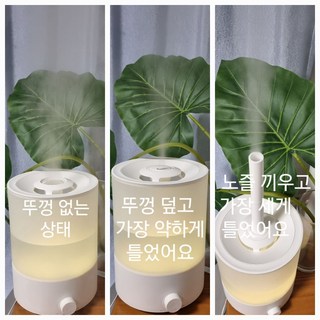 갤러리 이미지