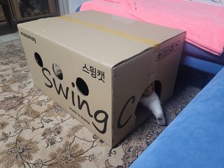 갤러리 이미지