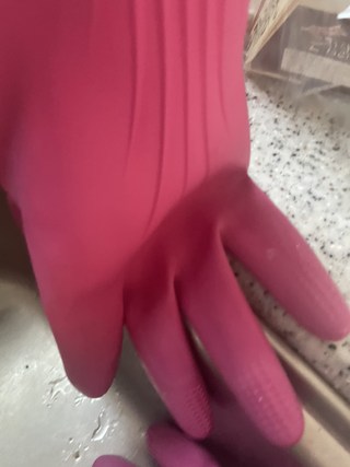 갤러리 이미지
