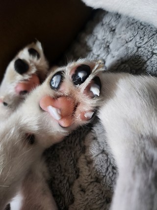 갤러리 이미지