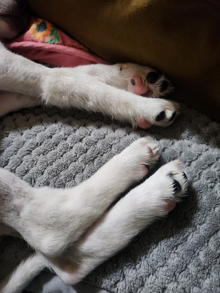 갤러리 이미지