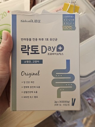 갤러리 이미지