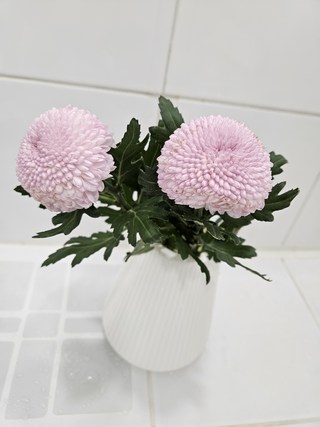 갤러리 이미지