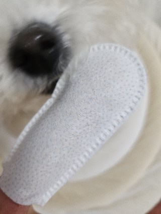 갤러리 이미지