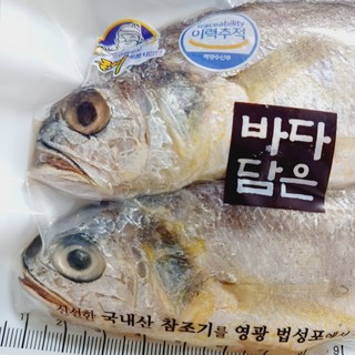 갤러리 이미지