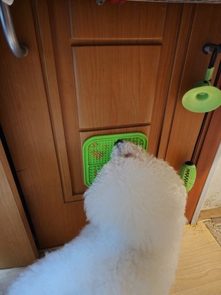 갤러리 이미지