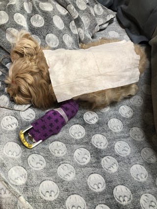 갤러리 이미지