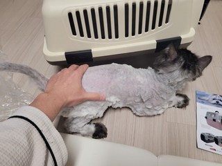 갤러리 이미지