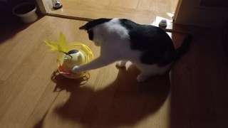 갤러리 이미지