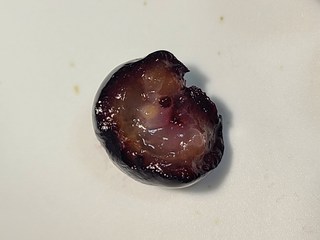 갤러리 이미지