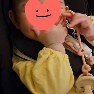 갤러리 이미지