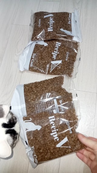 갤러리 이미지