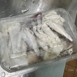 갤러리 이미지