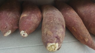 갤러리 이미지