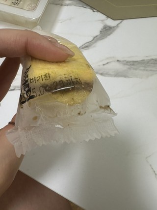 갤러리 이미지