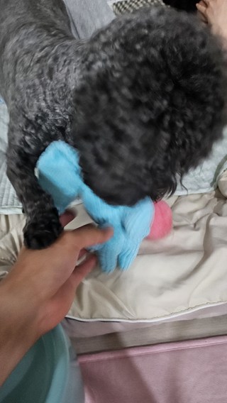 갤러리 이미지