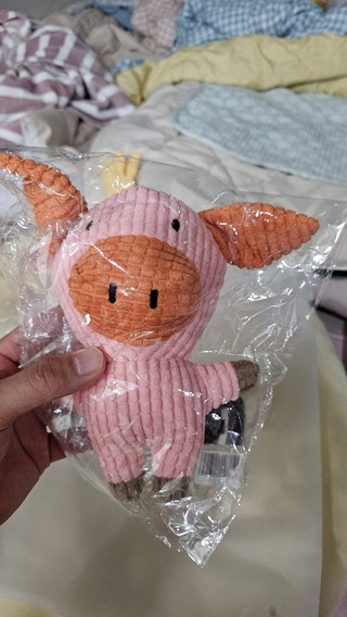 갤러리 이미지