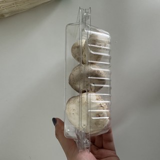 갤러리 이미지