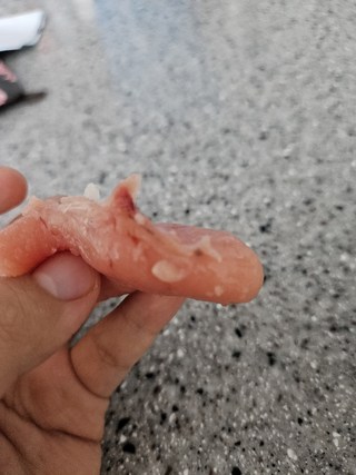 갤러리 이미지