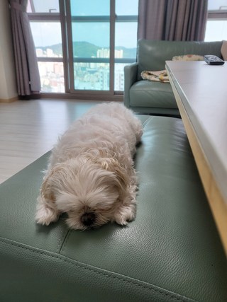 갤러리 이미지