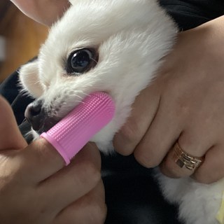 갤러리 이미지