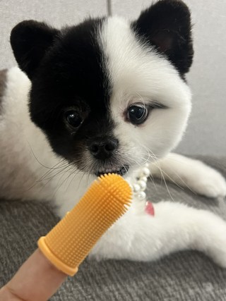 갤러리 이미지