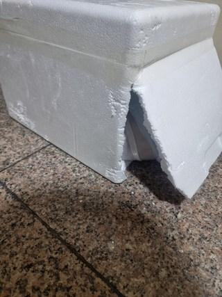 갤러리 이미지