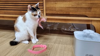 갤러리 이미지