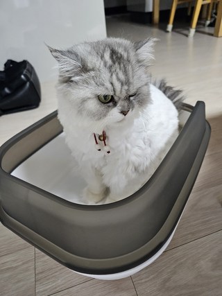 갤러리 이미지