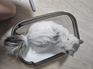 갤러리 이미지