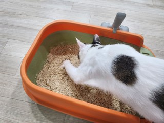 갤러리 이미지