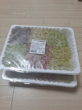 갤러리 이미지