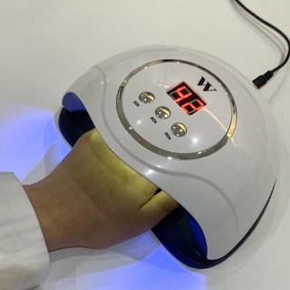 갤러리 이미지