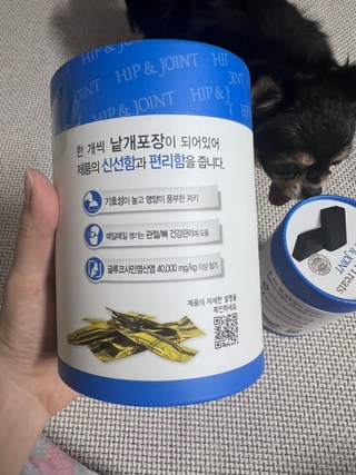 갤러리 이미지