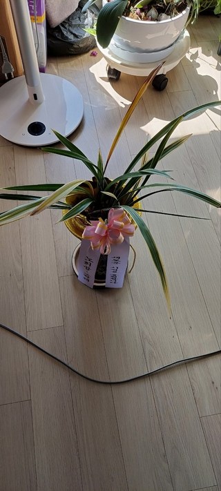 갤러리 이미지