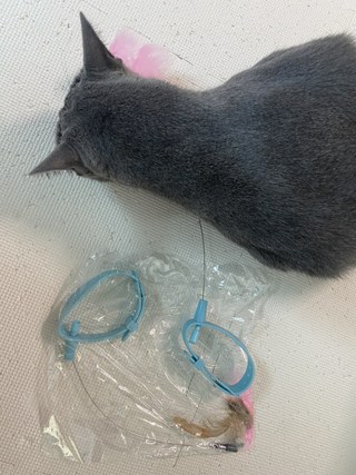 갤러리 이미지
