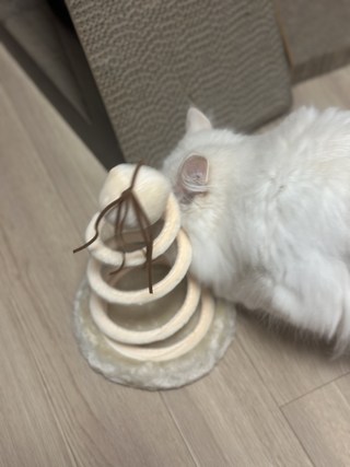 갤러리 이미지