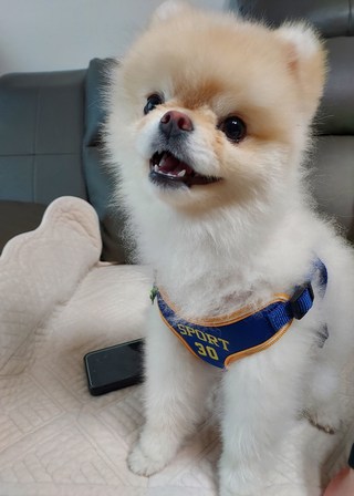 갤러리 이미지
